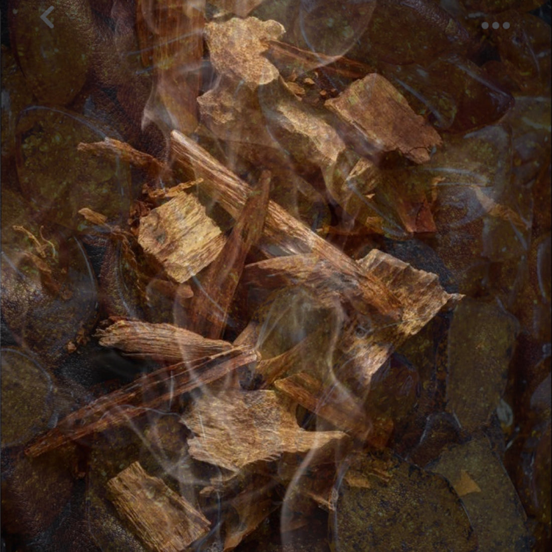 AMBER OUD