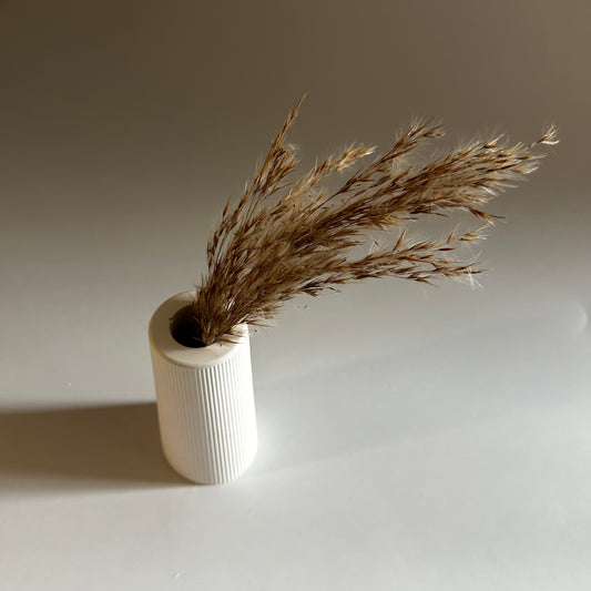 Mini dried flowers Vase