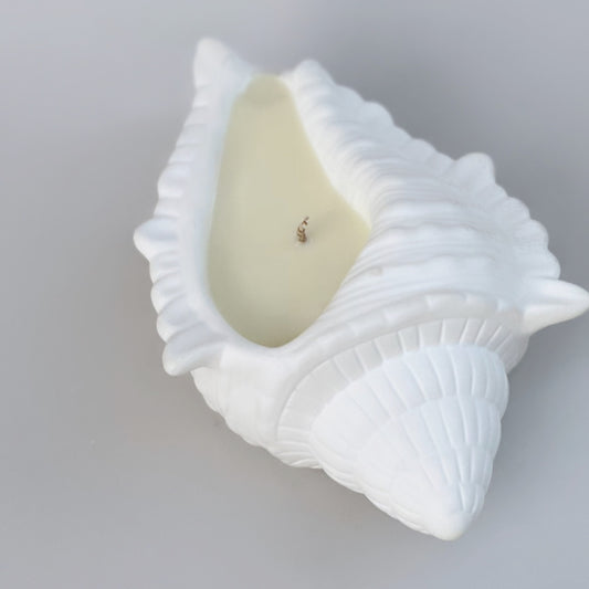 SHELL CANDLE