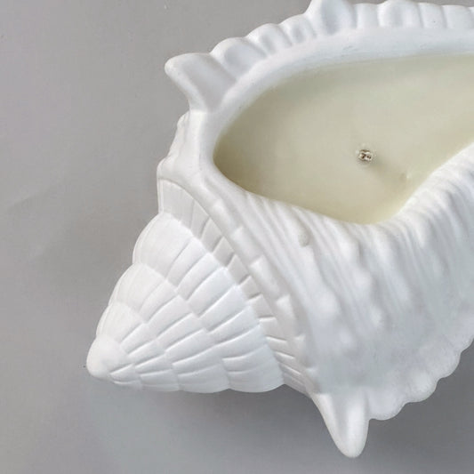 SHELL CANDLE